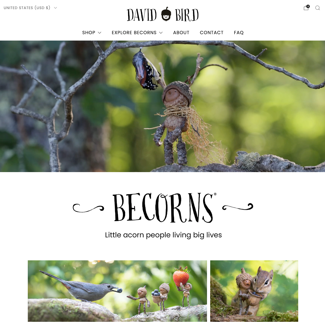 Website homepage of David Bird featuring acorn people and nature-themed products.